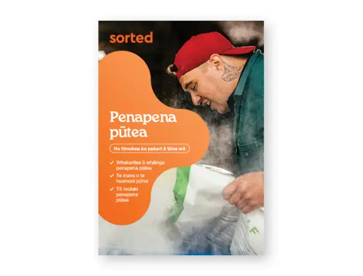 Penapena pūtea