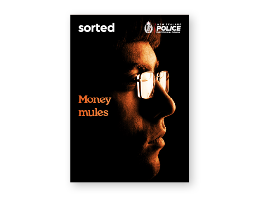 image moneymules  thumbnail 2026