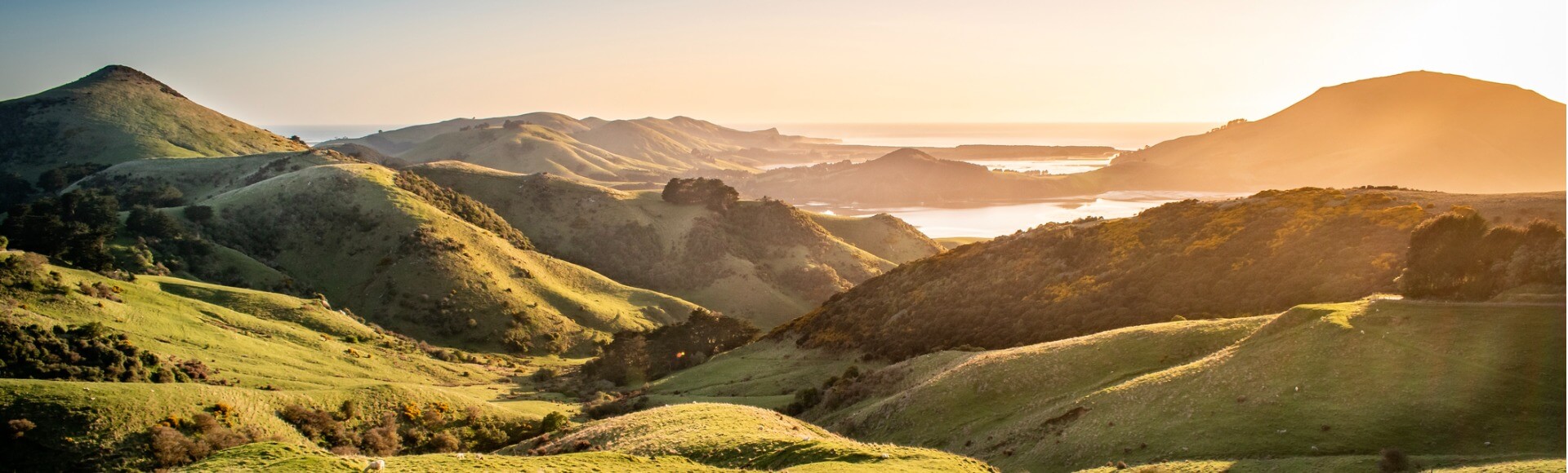 views across otago peninsula harbour cone and hoopers inlet at sunrise.jpg s1024x1024wisk20cmGBmINtlkqH6zP0Uo k47NiqYoMMPqlK05lVAv2z4xU 1