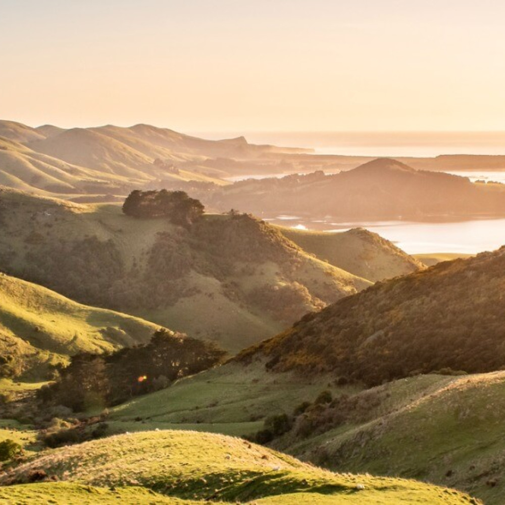 Applying for a KiwiSaver hardship withdrawal » Sorted