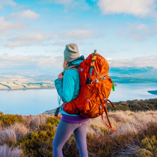 Project Falcon  Blog Image 1000x1000 1