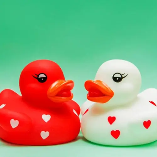blog when opposites attract