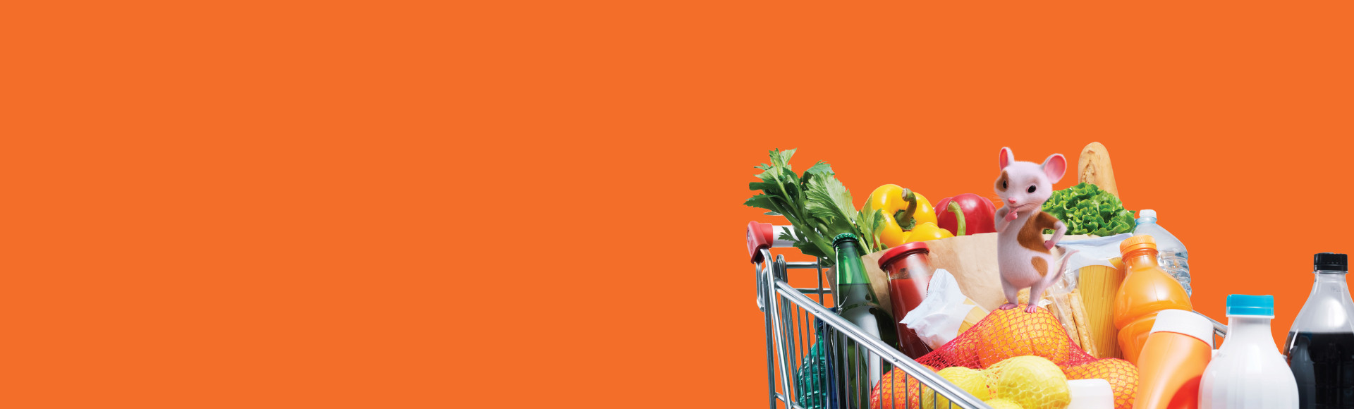 costofliving banner resampled