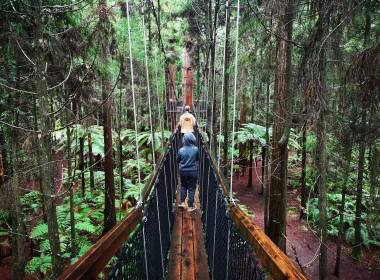 People crossing a bridge in a NZ bush walk, thinking on how to save up for a rainy-day fund