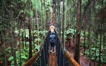 People crossing a bridge in a NZ bush walk, thinking on how to save up for a rainy-day fund