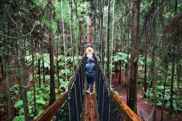 People crossing a bridge in a NZ bush walk, thinking on how to save up for a rainy-day fund