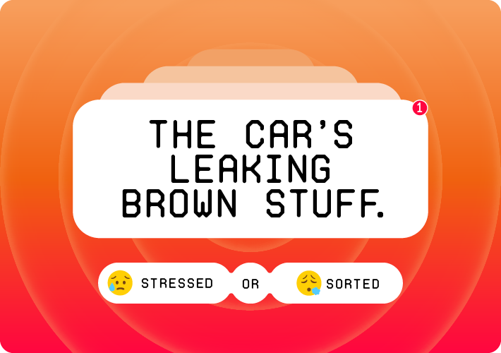 Money month the car's leaking brown stuff.