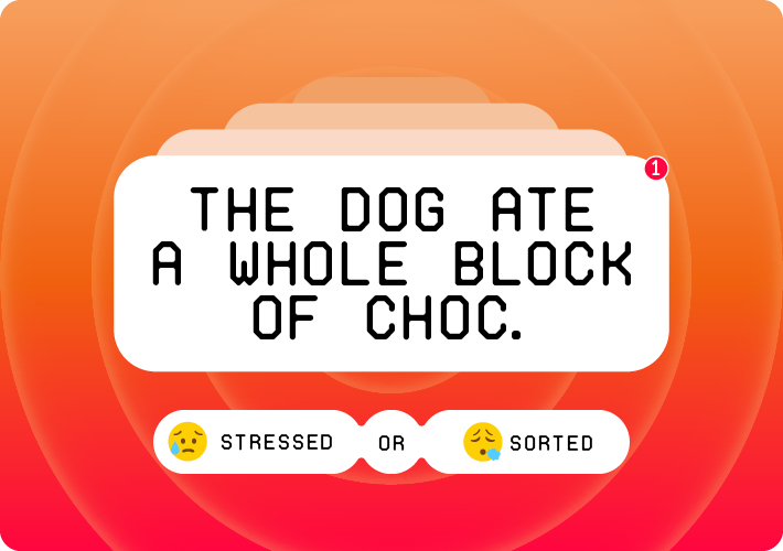 Money month the dog ate a whole block of choc.