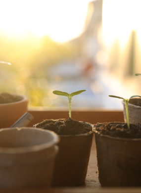 Foundations of investing