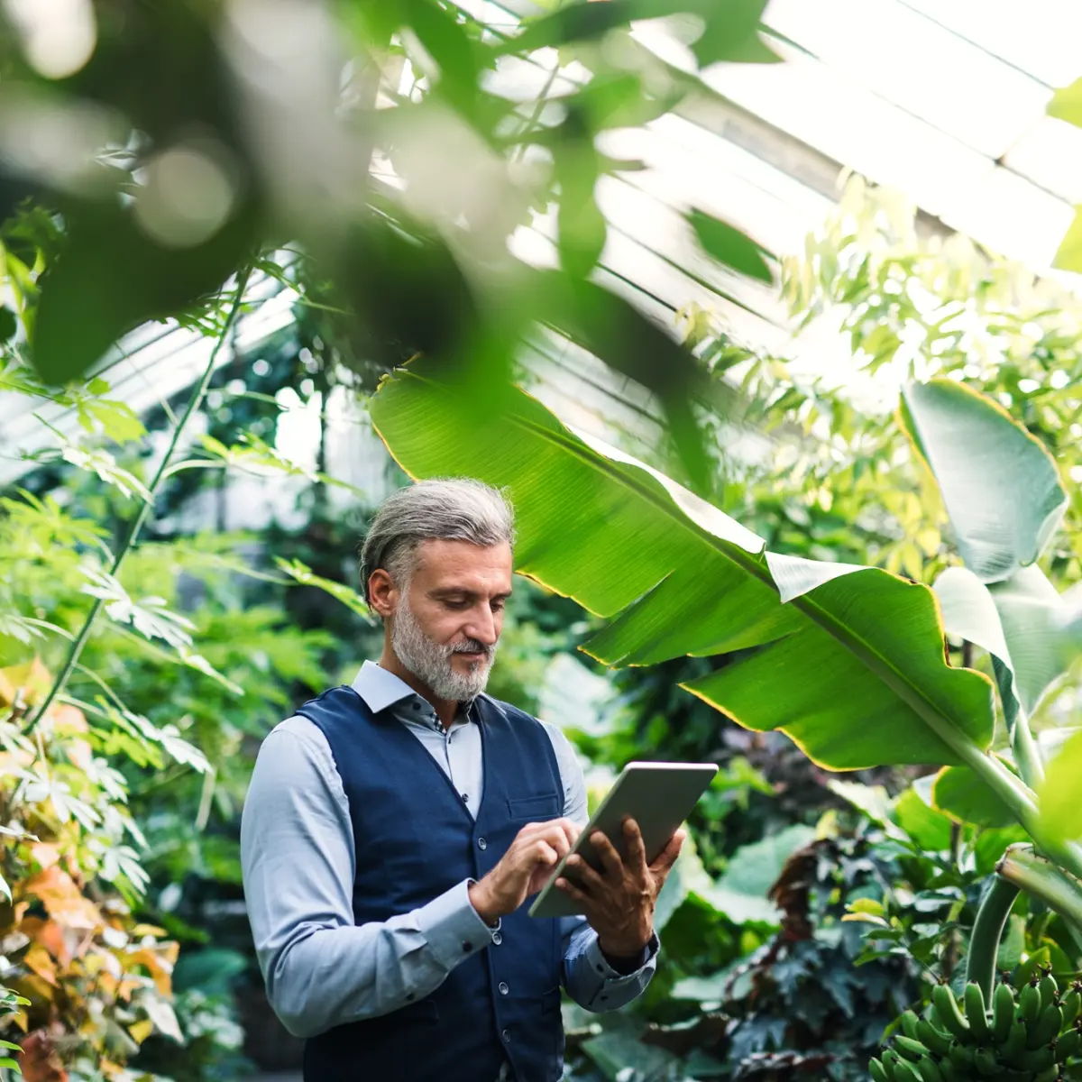 Considering Your Investment Options Beyond the Farm Gate - Te Anau 