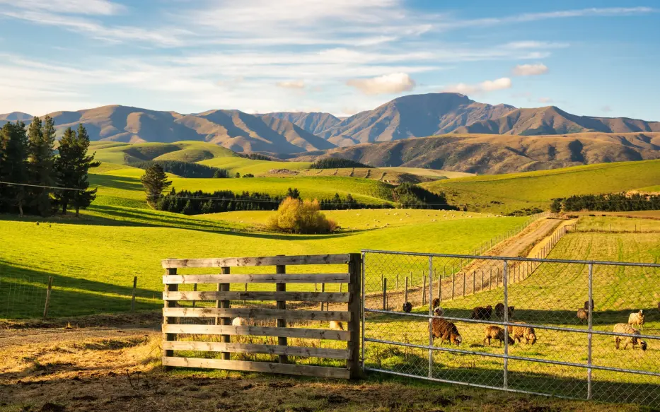 Farm view
