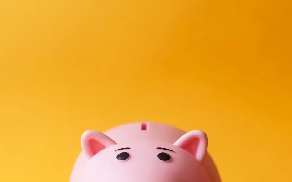Top of a piggy bank over a yellow background