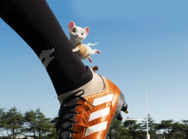 mouse rugby